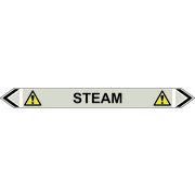 Steam